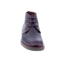 Botines Panama Jack zapatos Hombre modelo Gael C9 Marrón 