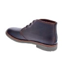 Botines Panama Jack zapatos Hombre modelo Gael C9 Marrón 