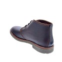 Botines Panama Jack zapatos Hombre modelo Gael C9 Marrón 