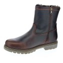 Botines Panama Jack zapatos Hombre modelo Fedro C13 Marrón 