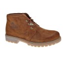 Botines Panama Jack zapatos Hombre modelo Bota Panama C69 Marrón 