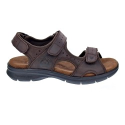Sandalias Panama Jack zapatos Hombre modelo Salton Basics C1 Marrón  2
