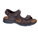 Sandalias Panama Jack zapatos Hombre modelo Salton Basics C1 Marrón 