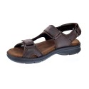 Sandalias Panama Jack zapatos Hombre modelo Salton Basics C1 Marrón 