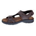 Sandalias Panama Jack zapatos Hombre modelo Salton Basics C1 Marrón 