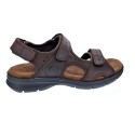 Sandalias Panama Jack zapatos Hombre modelo Salton Basics C1 Marrón 