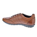 Zapatos Geox zapatos Hombre modelo Symbol Marrón 