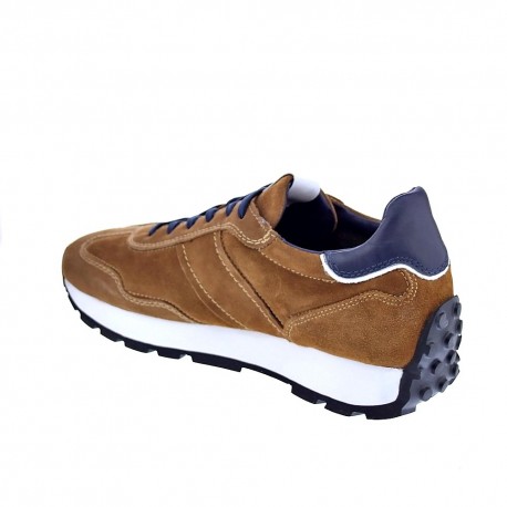 Zapatillas Nero Giardini zapatos Hombre modelo I202534U Marrón 