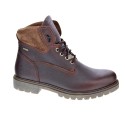 Botines Panama Jack zapatos Hombre modelo Amur Marrón 
