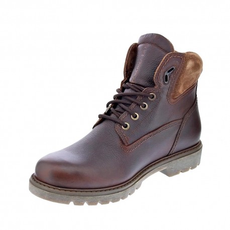 Botines Panama Jack zapatos Hombre modelo Amur Marrón 