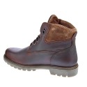 Botines Panama Jack zapatos Hombre modelo Amur Marrón 
