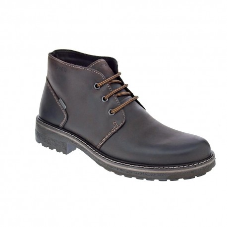Botines Igi zapatos Hombre modelo 2622011 Marrón 