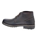 Botines Igi zapatos Hombre modelo 2622011 Marrón 