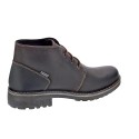 Botines Igi zapatos Hombre modelo 2622011 Marrón 