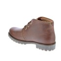 Botines Panama Jack zapatos Hombre modelo Bota Panama Marrón 