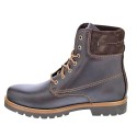 Botines Panama Jack zapatos Hombre modelo Panama Marrón 