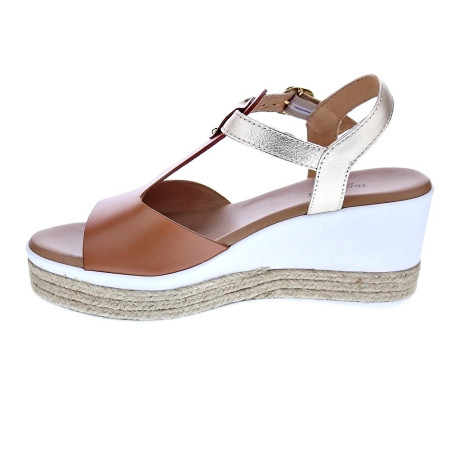 Sandalias Nero Giardini zapatos Mujer modelo E307712D Marrón 