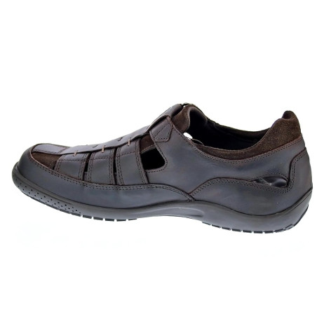 Sandalias Panama Jack zapatos Hombre modelo Meridian Basics C1 Marrón 