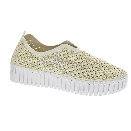 Bailarinas Ilse Jacobsen zapatos Mujer modelo Tulip 3373 Beige 