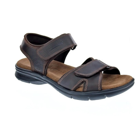 Sandalias Panama Jack zapatos Hombre modelo Sanders B C1 Marrón 