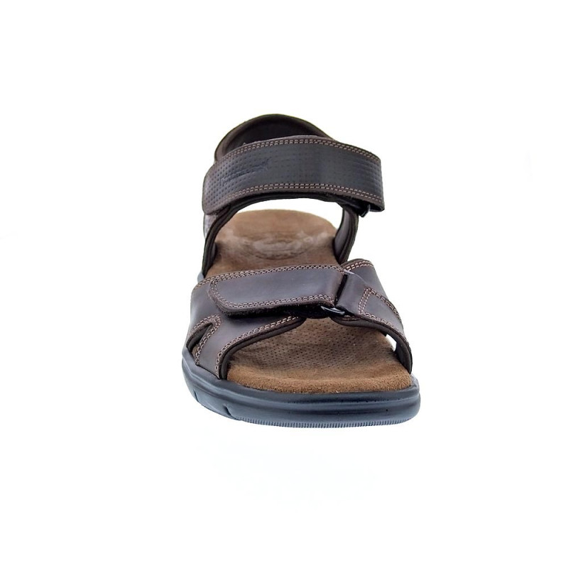 Sandalias Panama Jack zapatos Hombre modelo Sanders B C1 Marrón 