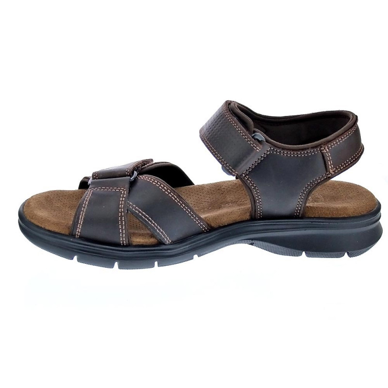 Sandalias Panama Jack zapatos Hombre modelo Sanders B C1 Marrón 