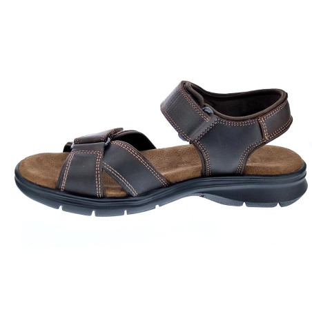 Sandalias Panama Jack zapatos Hombre modelo Sanders B C1 Marrón 