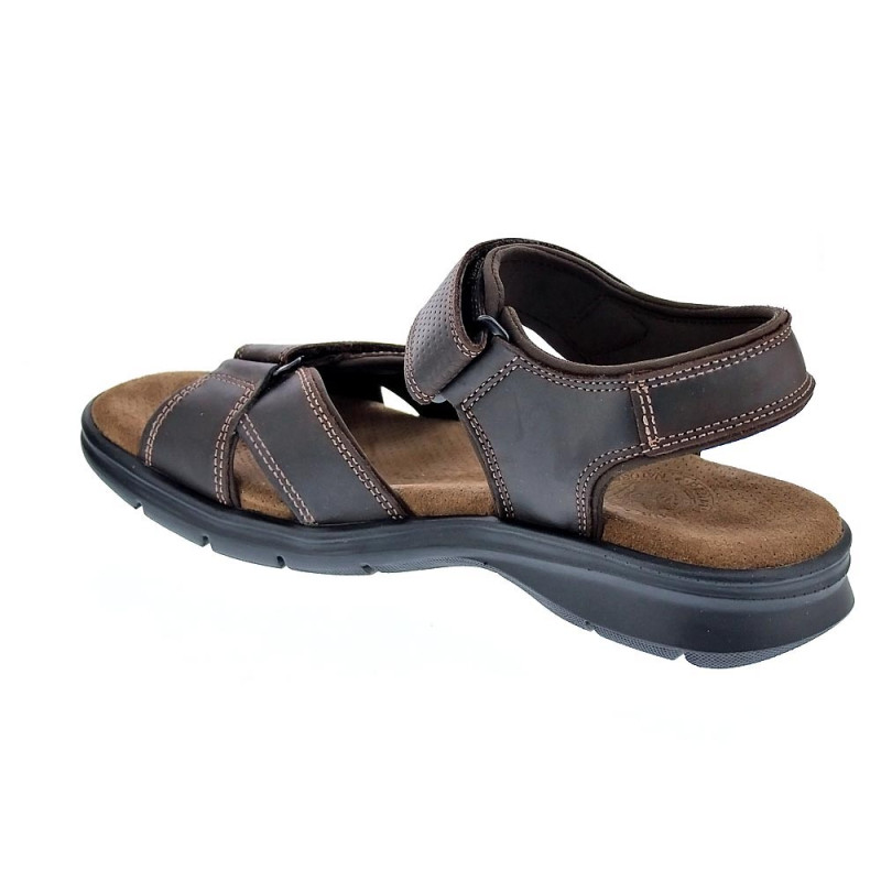 Sandalias Panama Jack zapatos Hombre modelo Sanders B C1 Marrón 