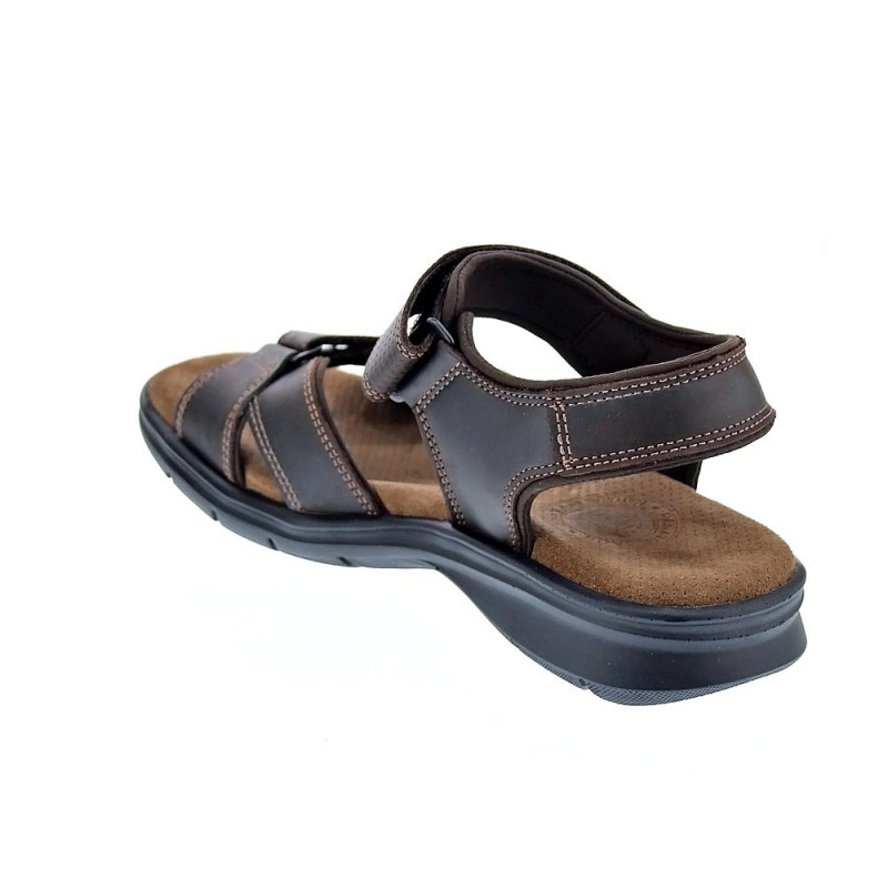 Sandalias Panama Jack zapatos Hombre modelo Sanders B C1 Marrón 