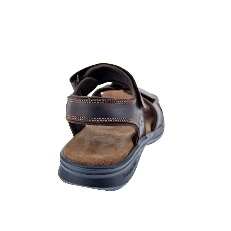 Sandalias Panama Jack zapatos Hombre modelo Sanders B C1 Marrón 