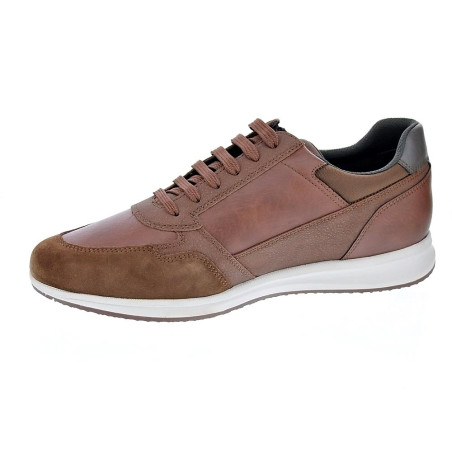 Zapatillas Geox zapatos Hombre modelo Avery cordón cremallera Marrón 