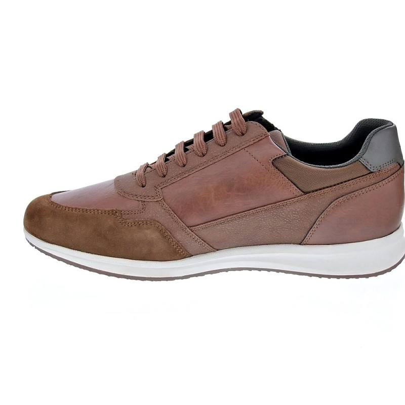 Zapatillas Geox zapatos Hombre modelo Avery cordón cremallera Marrón 
