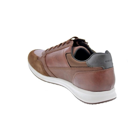 Zapatillas Geox zapatos Hombre modelo Avery cordón cremallera Marrón 