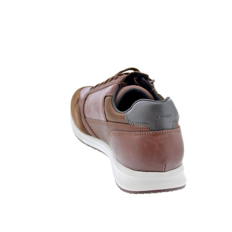 Zapatillas Geox zapatos Hombre modelo Avery cordón cremallera Marrón 