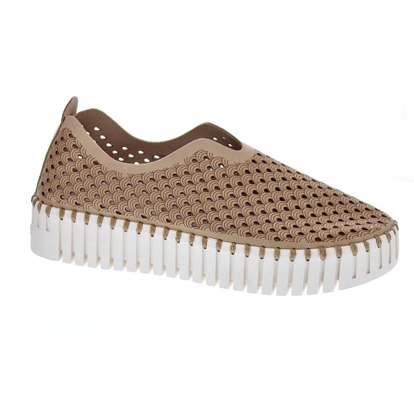 Bailarinas Ilse Jacobsen zapatos Mujer modelo Tulip 3373 Beige 