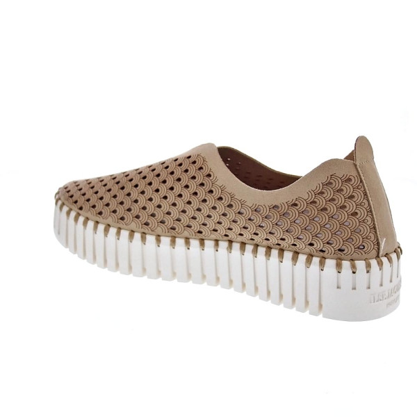 Bailarinas Ilse Jacobsen zapatos Mujer modelo Tulip 3373 Beige 