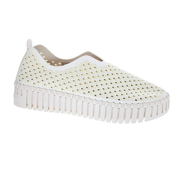 Bailarinas Ilse Jacobsen zapatos Mujer modelo Tulip 3373 Beige 