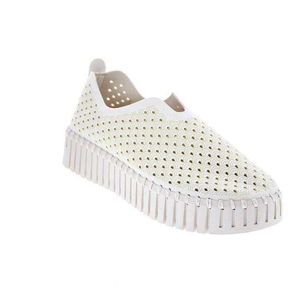 Bailarinas Ilse Jacobsen zapatos Mujer modelo Tulip 3373 Beige 