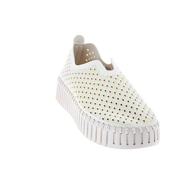 Bailarinas Ilse Jacobsen zapatos Mujer modelo Tulip 3373 Beige 