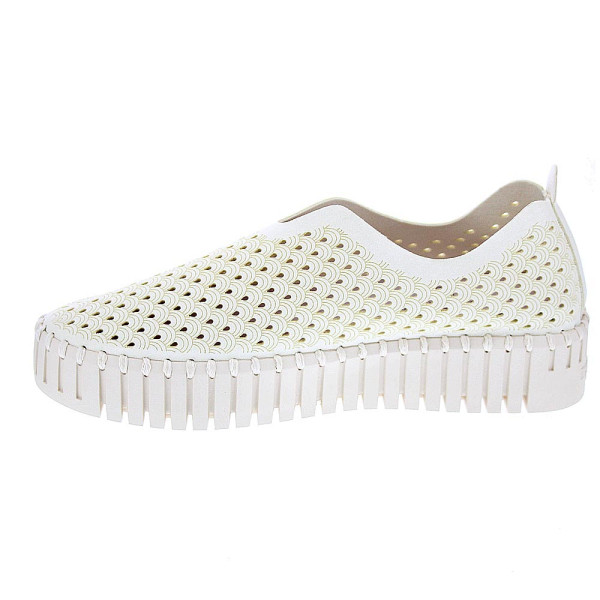 Bailarinas Ilse Jacobsen zapatos Mujer modelo Tulip 3373 Beige 