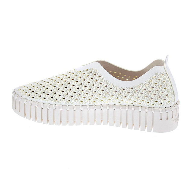 Bailarinas Ilse Jacobsen zapatos Mujer modelo Tulip 3373 Beige 