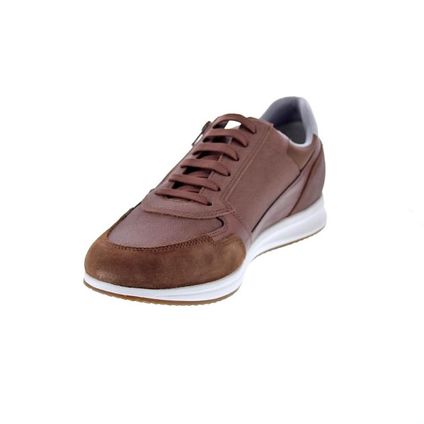Zapatillas Geox zapatos Hombre modelo Avery cremallera Marrón Cordón