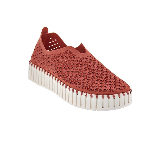 Bailarinas Ilse Jacobsen zapatos Mujer modelo Tulip 3373 Naranja 