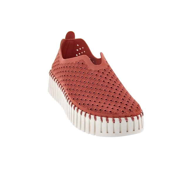 Bailarinas Ilse Jacobsen zapatos Mujer modelo Tulip 3373 Naranja 