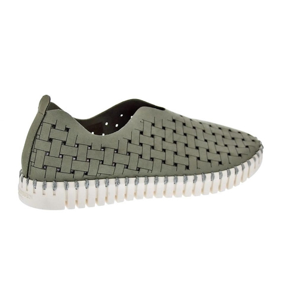 Bailarinas Ilse Jacobsen zapatos Mujer modelo Tulip Verde 