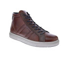 Botines Igi zapatos Hombre modelo 6633733 Marrón Cordón