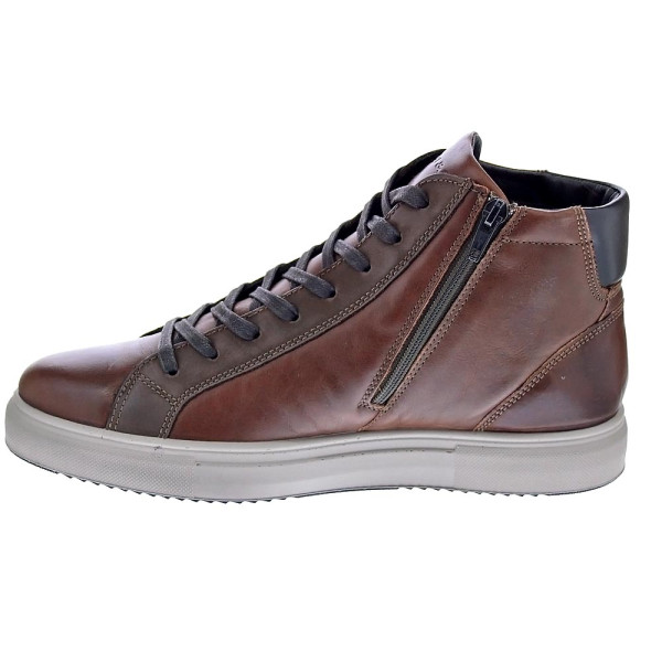 Botines Igi zapatos Hombre modelo 6633733 Marrón Cordón
