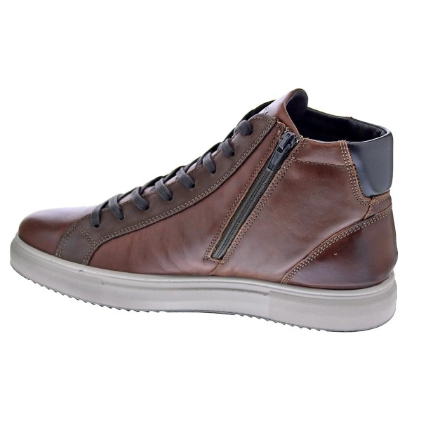 Botines Igi zapatos Hombre modelo 6633733 Marrón Cordón