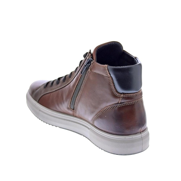 Botines Igi zapatos Hombre modelo 6633733 Marrón Cordón