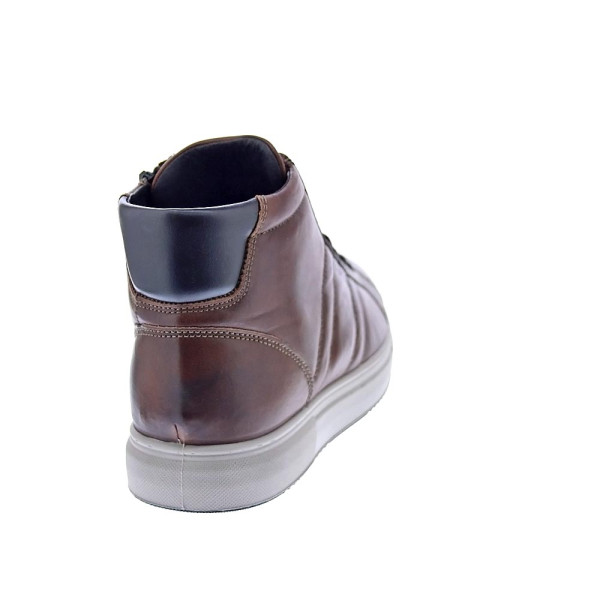 Botines Igi zapatos Hombre modelo 6633733 Marrón Cordón
